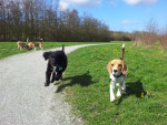 Charlie en didi